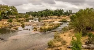 l'Ethiopie est un pays aux décors très variés