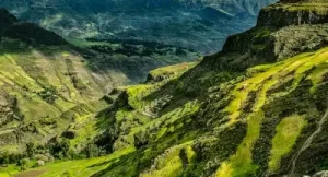 superbe paysage ethiopien - milieu rural plus défarisé