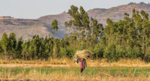 des Ethiopiens en difficultés dans les zones rurales